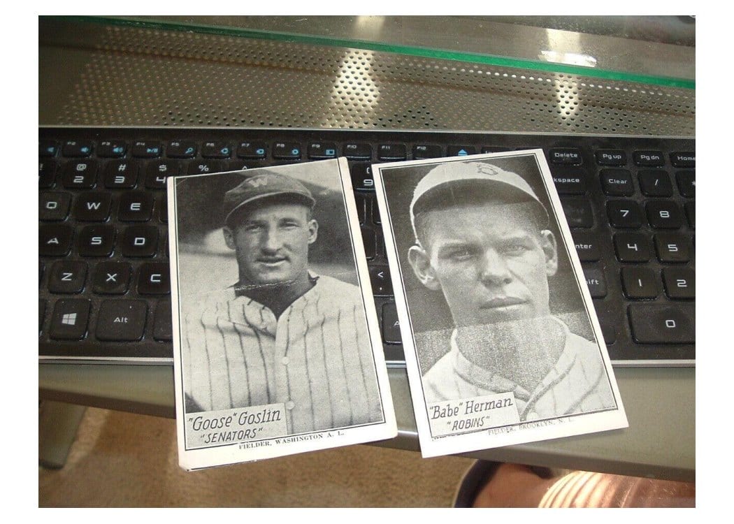 1929 R315 Goose Goslin card