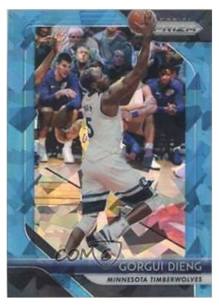 2018-19 Panini Prizm Base Set Gorgui Dieng #117 card