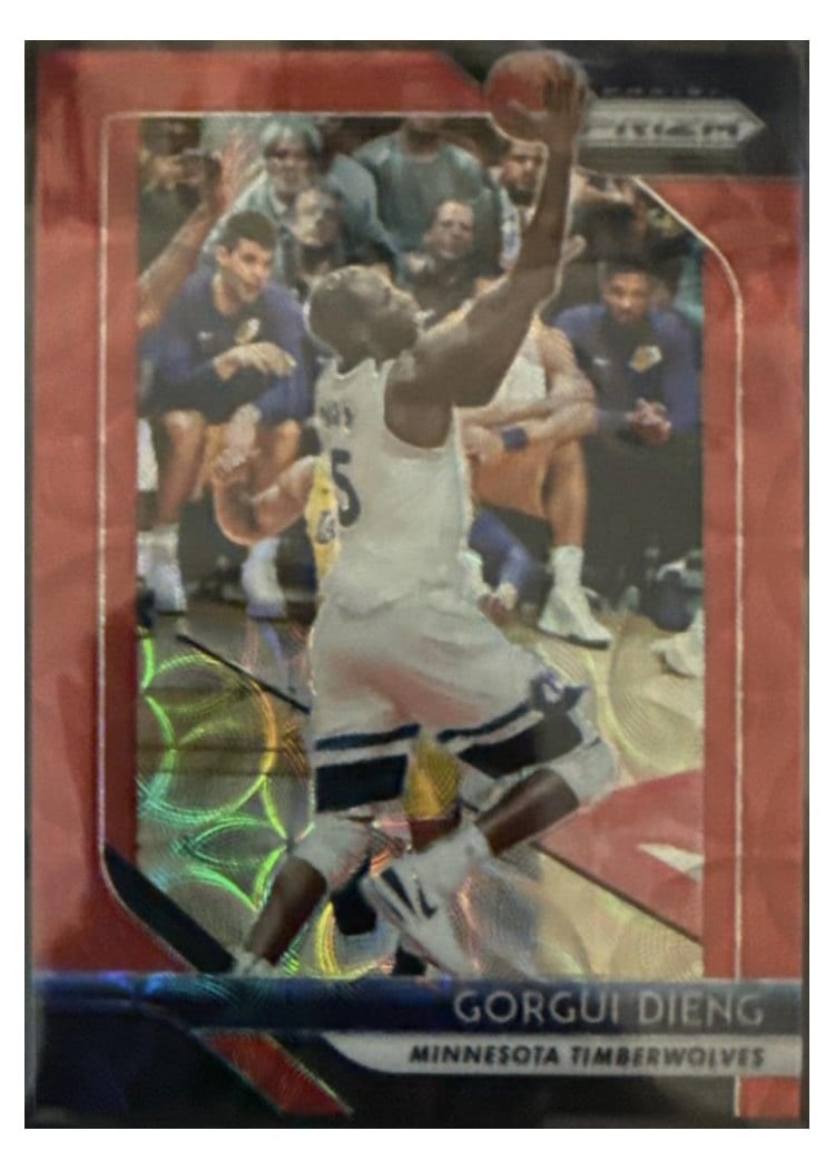 2018-19 Panini Prizm Base Set Gorgui Dieng #117 card