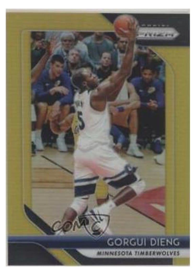 2018-19 Panini Prizm Base Set Gorgui Dieng #117 card