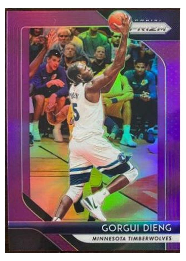 2018-19 Panini Prizm Base Set Gorgui Dieng #117 card