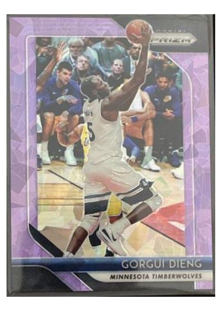 2018-19 Panini Prizm Base Set Gorgui Dieng #117 card