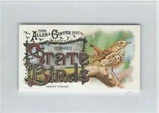 2025 Topps Allen & Ginter State Birds (Minis) Hermit Thrush - Vermont #SB-45 card