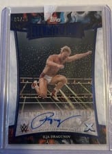 2025 Topps Exalted WWE Wrestling Elevated Ink Ilja Dragunov #ELI-IDV card