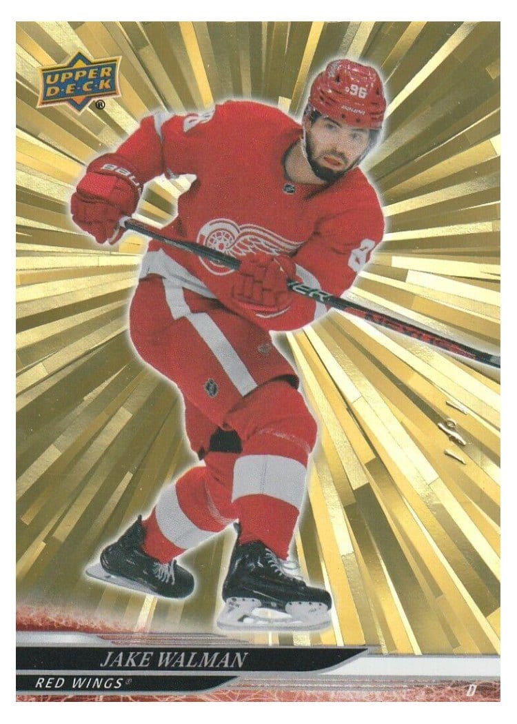 2024-25 Upper Deck Base Set Jake Walman #73 card