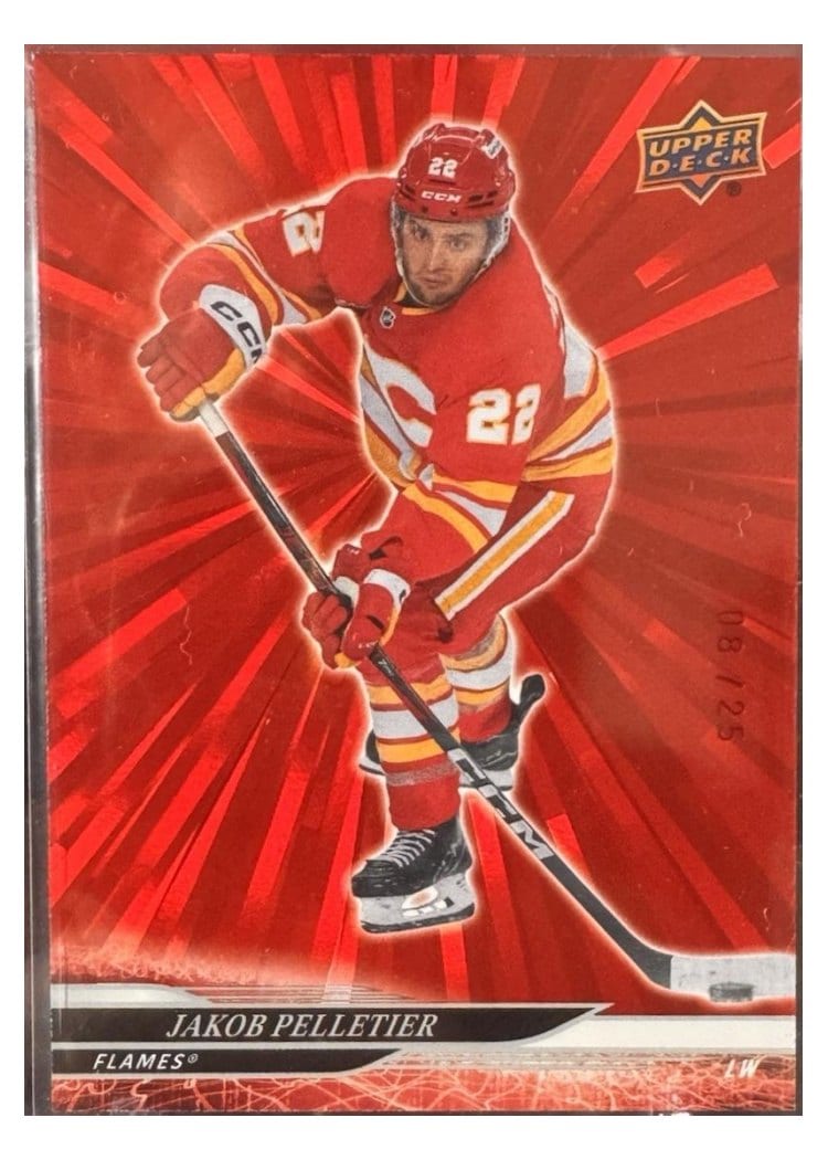 2024-25 Upper Deck Base Set Jakob Pelletier #517 card