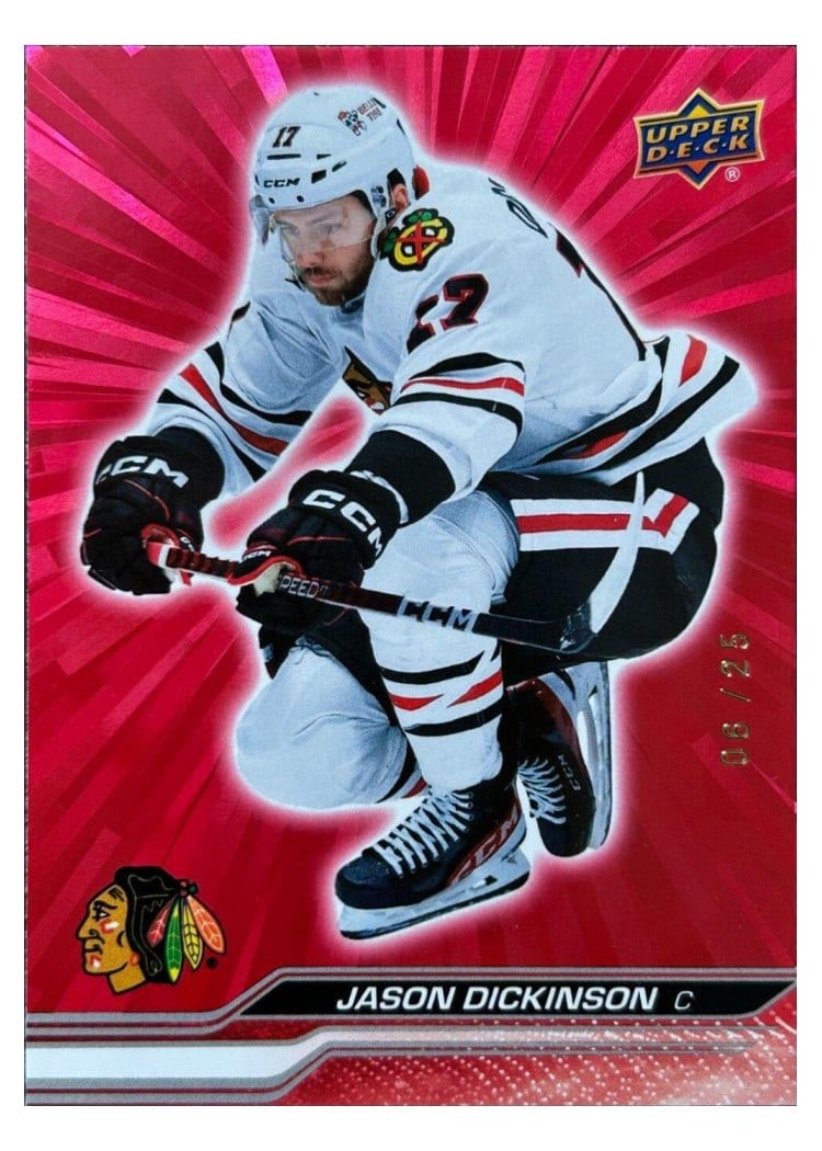 2023-24 Upper Deck Base Set Jason Dickinson #289 card