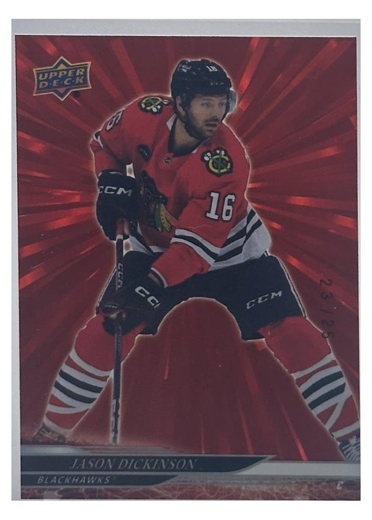 2024-25 Upper Deck Base Set Jason Dickinson #45 card
