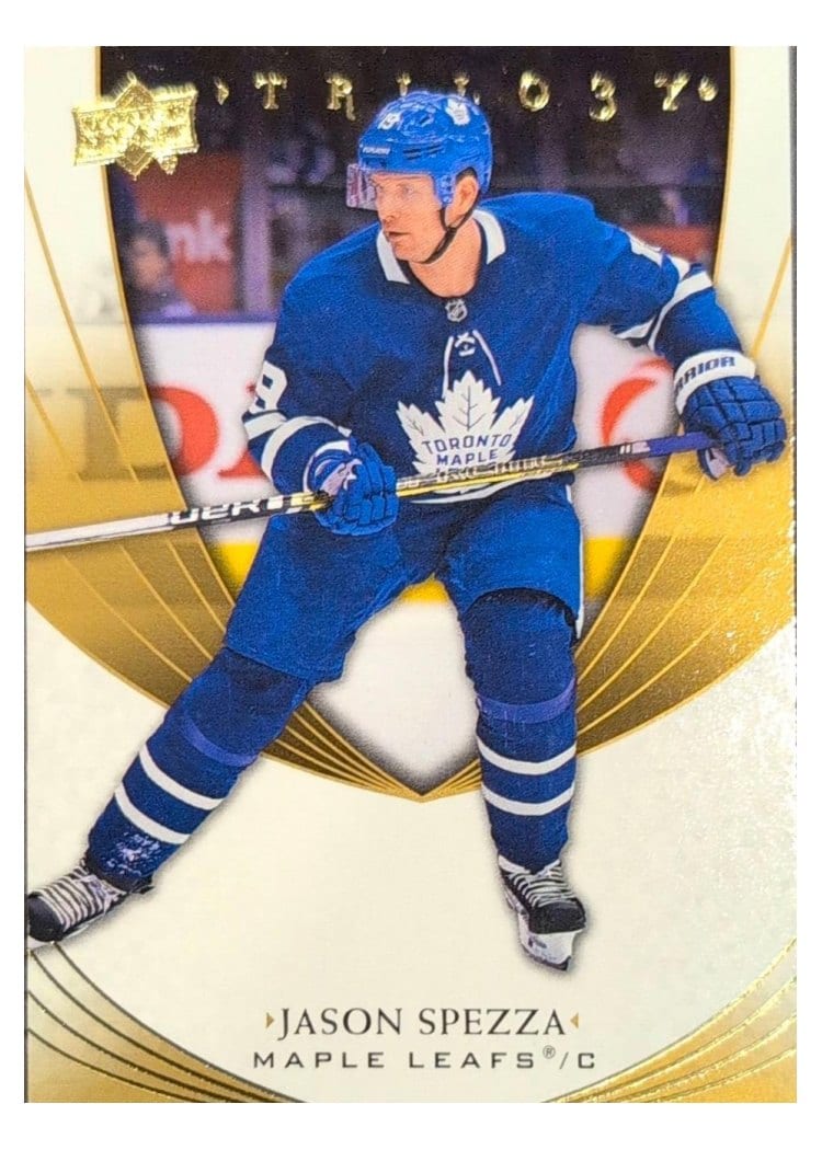 2020-21 Upper Deck Trilogy Base Set Jason Spezza #40 card