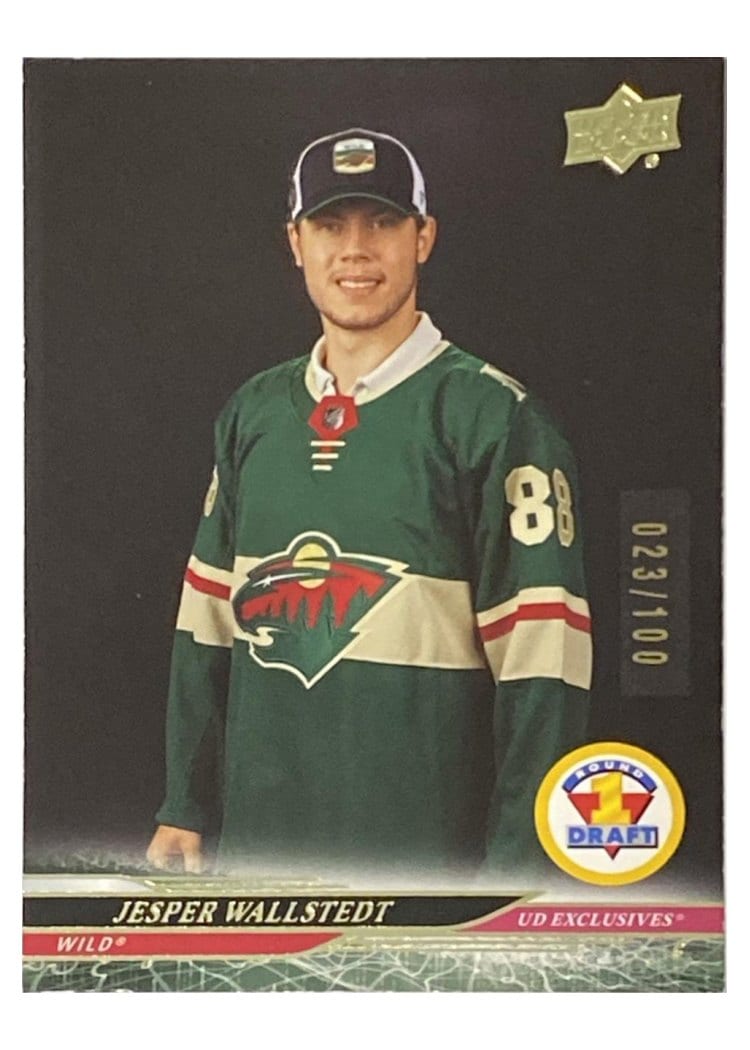 2024-25 Upper Deck Base Set Jesper Wallstedt #734 card