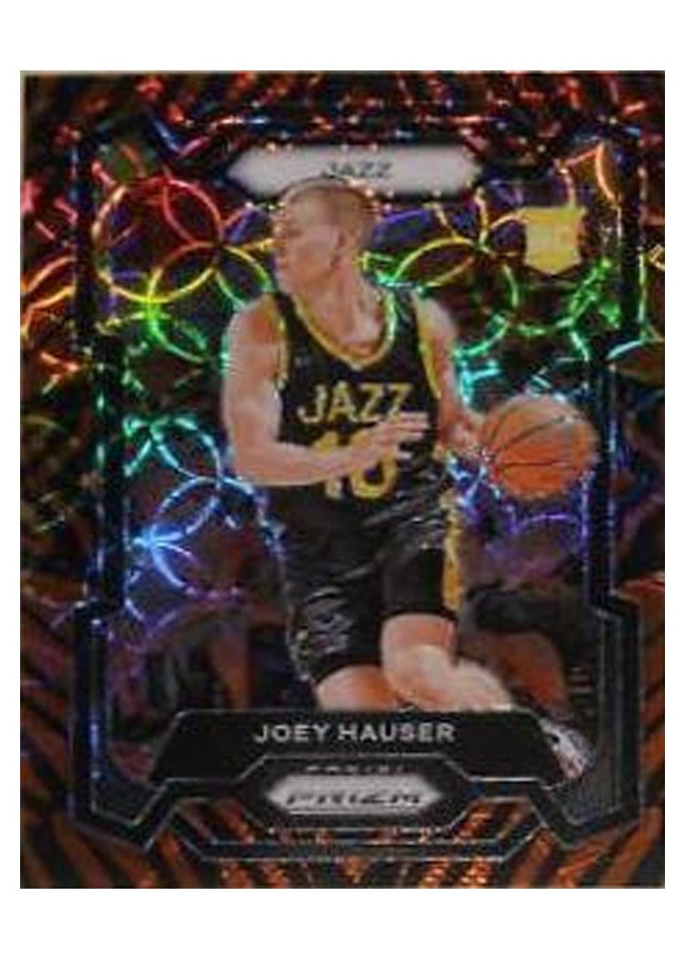2023-24 Panini Prizm Base Set Joey Hauser Choice Tiger Stripe #293 card