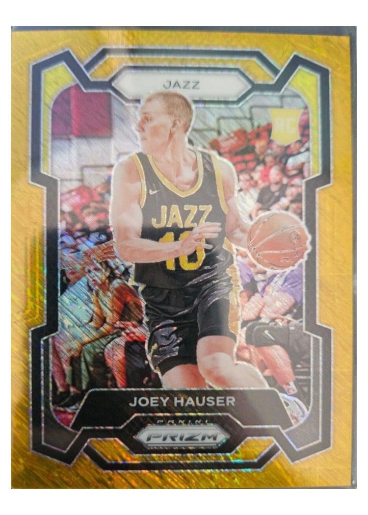 2023-24 Panini Prizm Base Set Joey Hauser #293 card