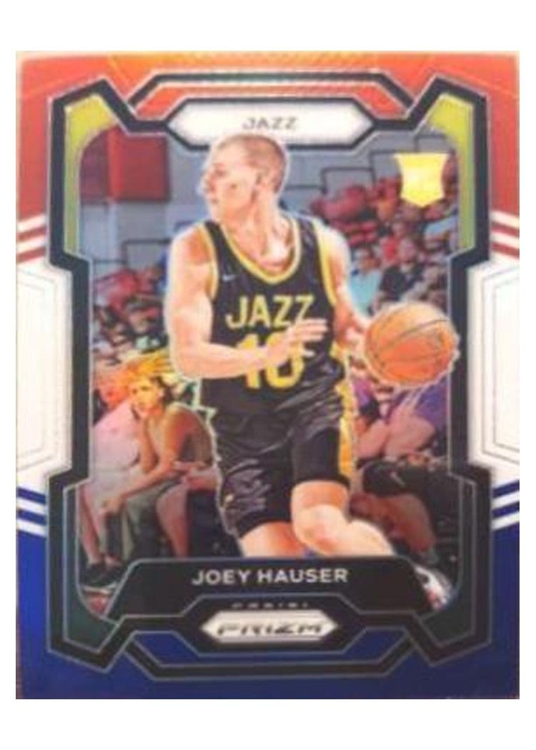2023-24 Panini Prizm Base Set Joey Hauser #293 card