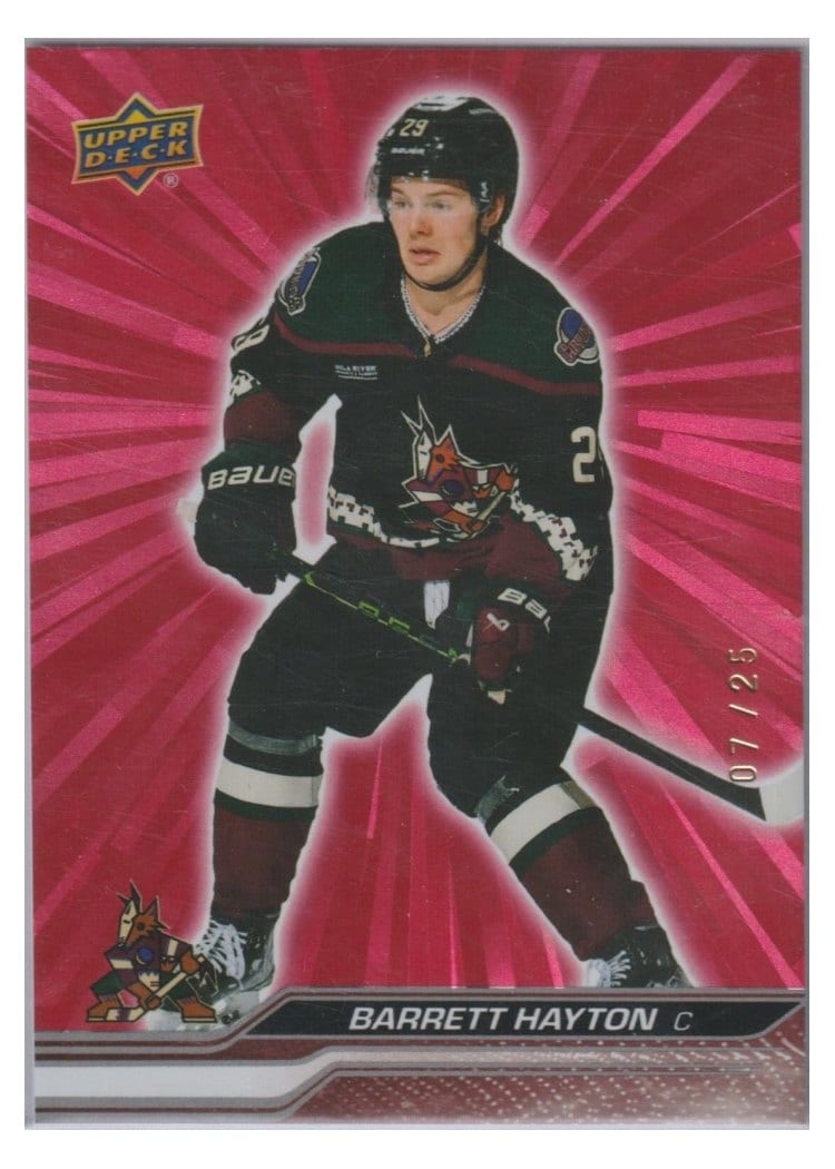 2024-25 Upper Deck Base Set John Beecher #259 card