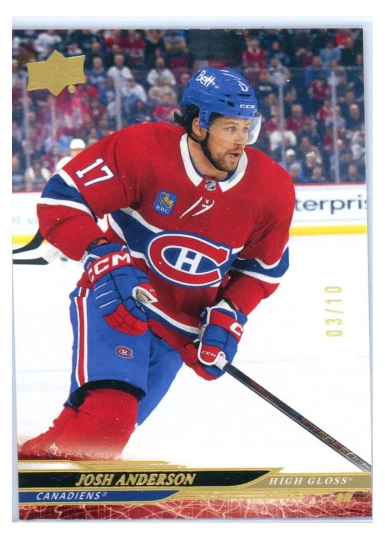 2024-25 Upper Deck Base Set Josh Anderson #341 card