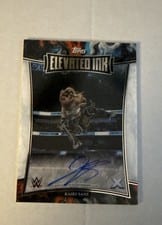 2025 Topps Exalted WWE Wrestling Elevated Ink Kairi Sane #ELI-KSE card