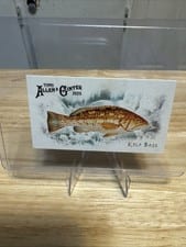 2025 Topps Allen & Ginter 50 Fish From Global Waters (Minis) Kelp Bass #FGW-29 card