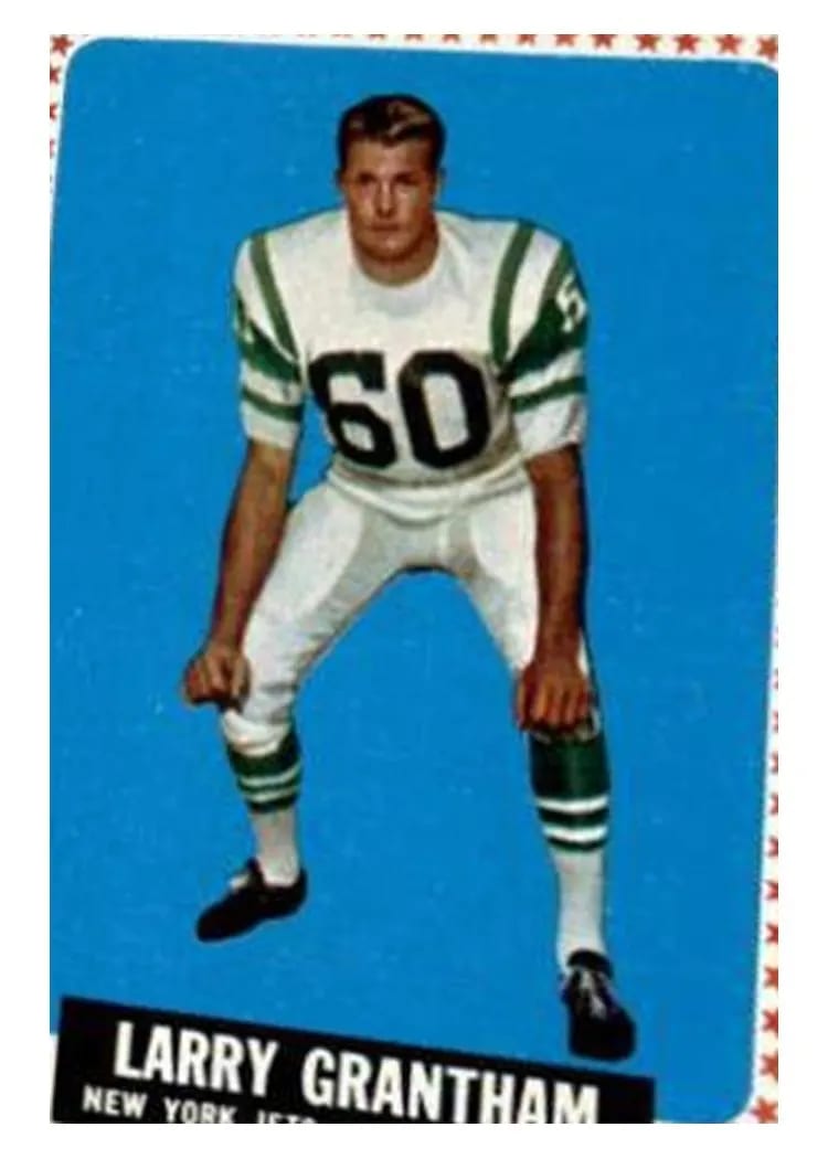 1964 Topps Larry Grantham #113 card