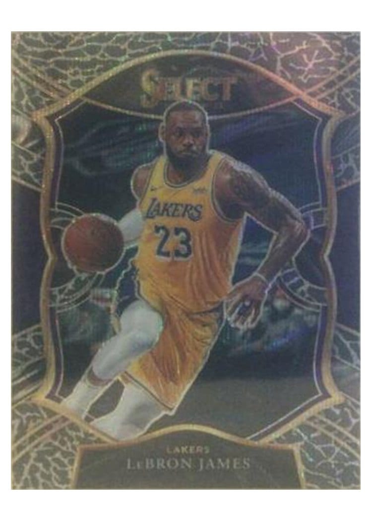2020-21 Panini Select Base Set LeBron James Elephant Prizm #23 card