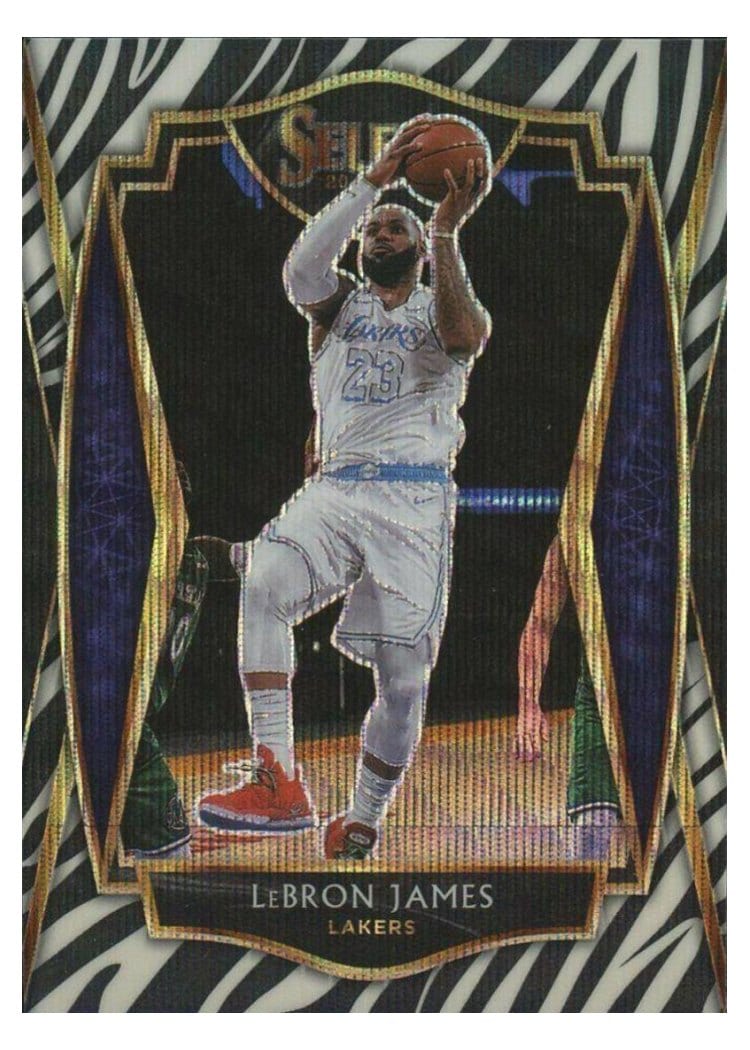 2020 Panini Select LeBron James #113 card