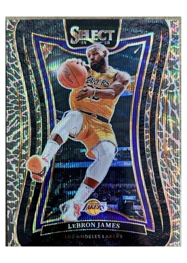 2024-25 Panini Select Base Set LeBron James #310 card