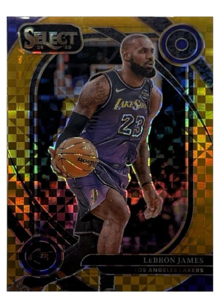 2024 Panini Select LeBron James #241 card