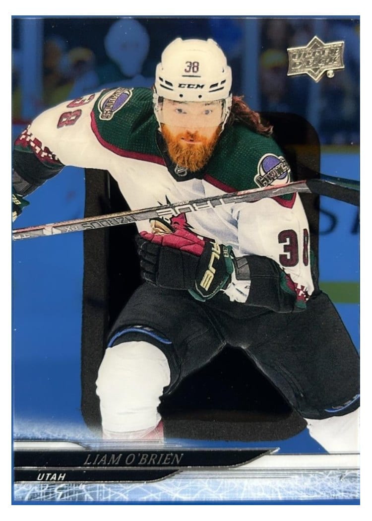 2024-25 Upper Deck Base Set Liam O'Brien #422 card