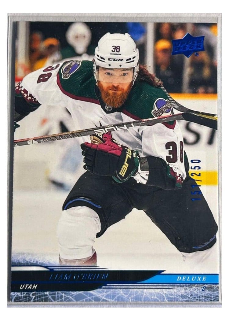 2024-25 Upper Deck Base Set Liam O'Brien #422 card