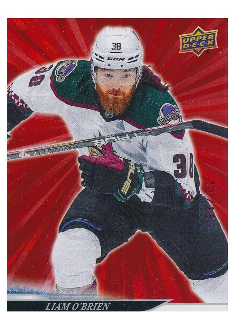 2024-25 Upper Deck Base Set Liam O'Brien #422 card