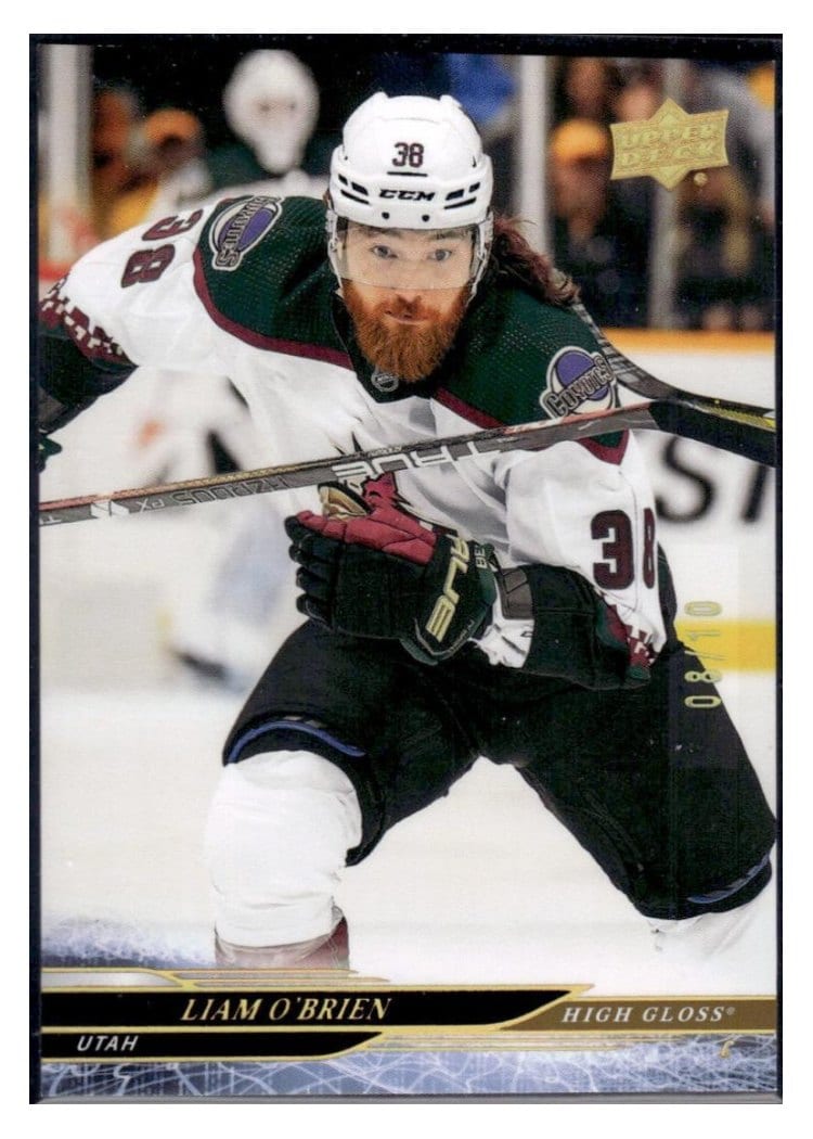 2024-25 Upper Deck Base Set Liam O'Brien #422 card