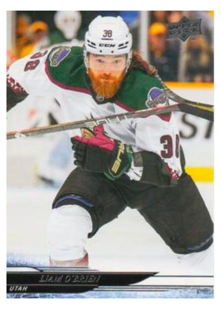 2024-25 Upper Deck Base Set Liam O'Brien #422 card