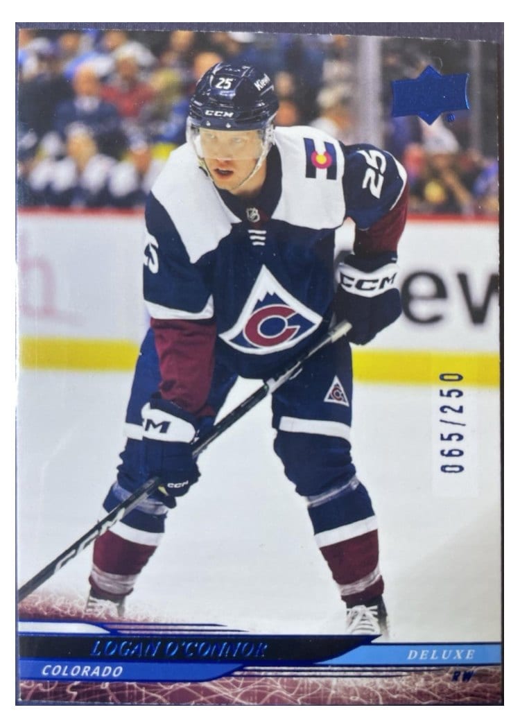 2024-25 Upper Deck Base Set Logan O'Connor #288 card