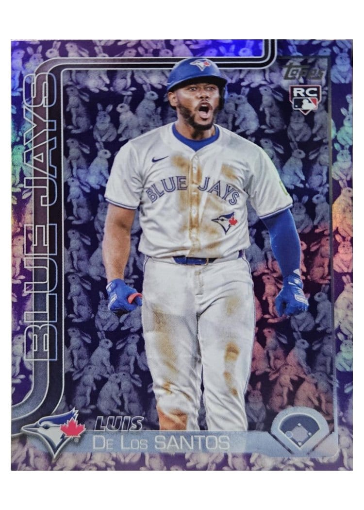 2025 Topps Base Set Luis De Los Santos #13 card