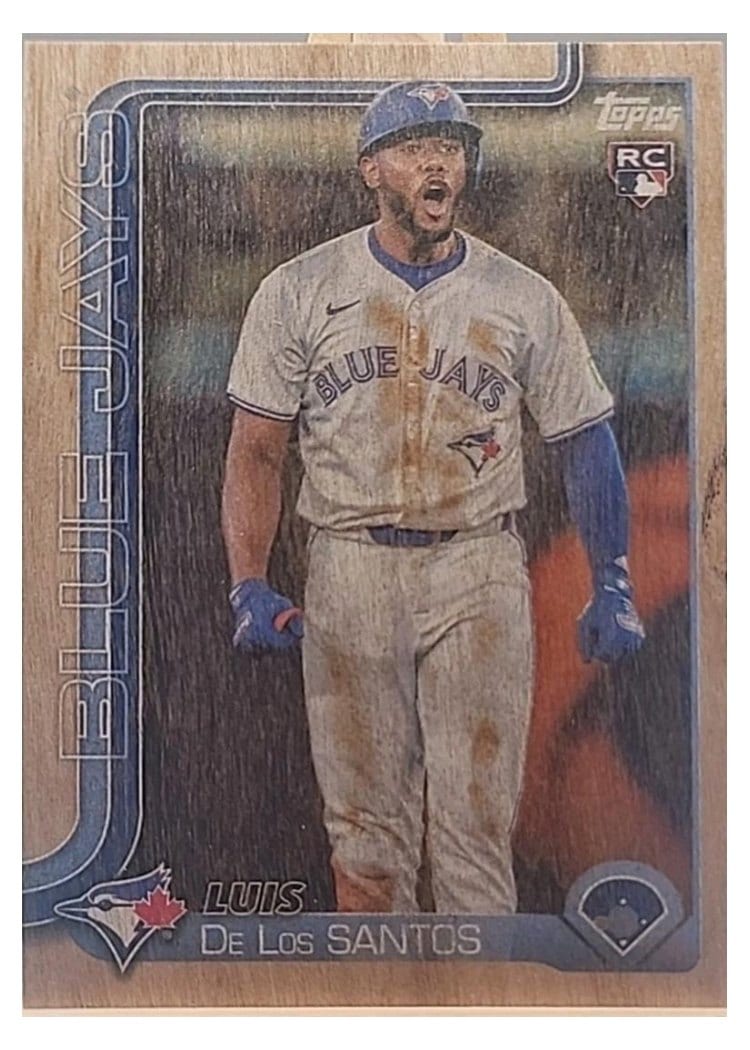 2025 Topps Base Set Luis De Los Santos #13 card