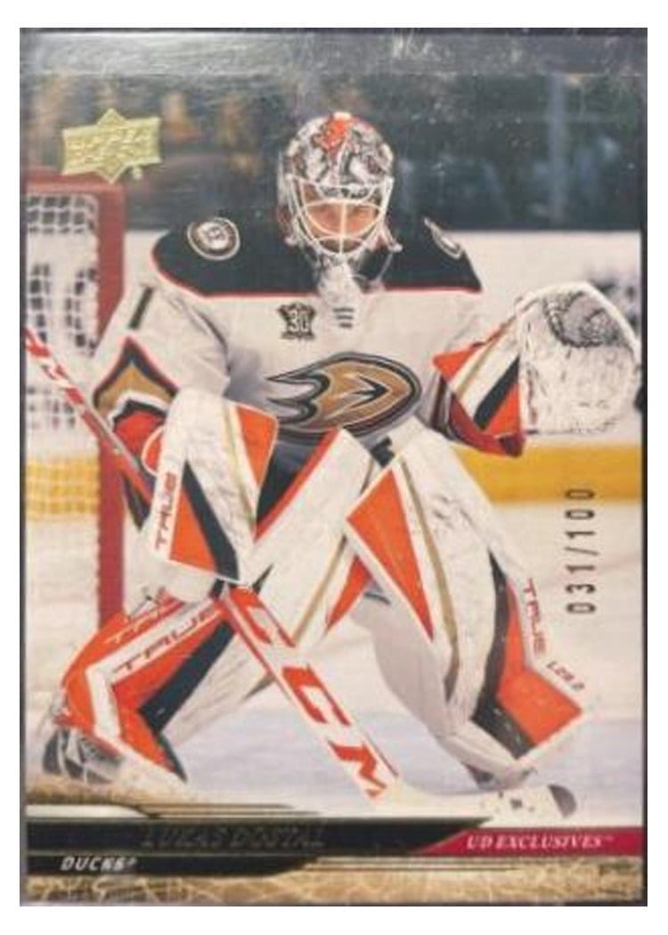 2024-25 Upper Deck Base Set Lukas Dostal #7 card