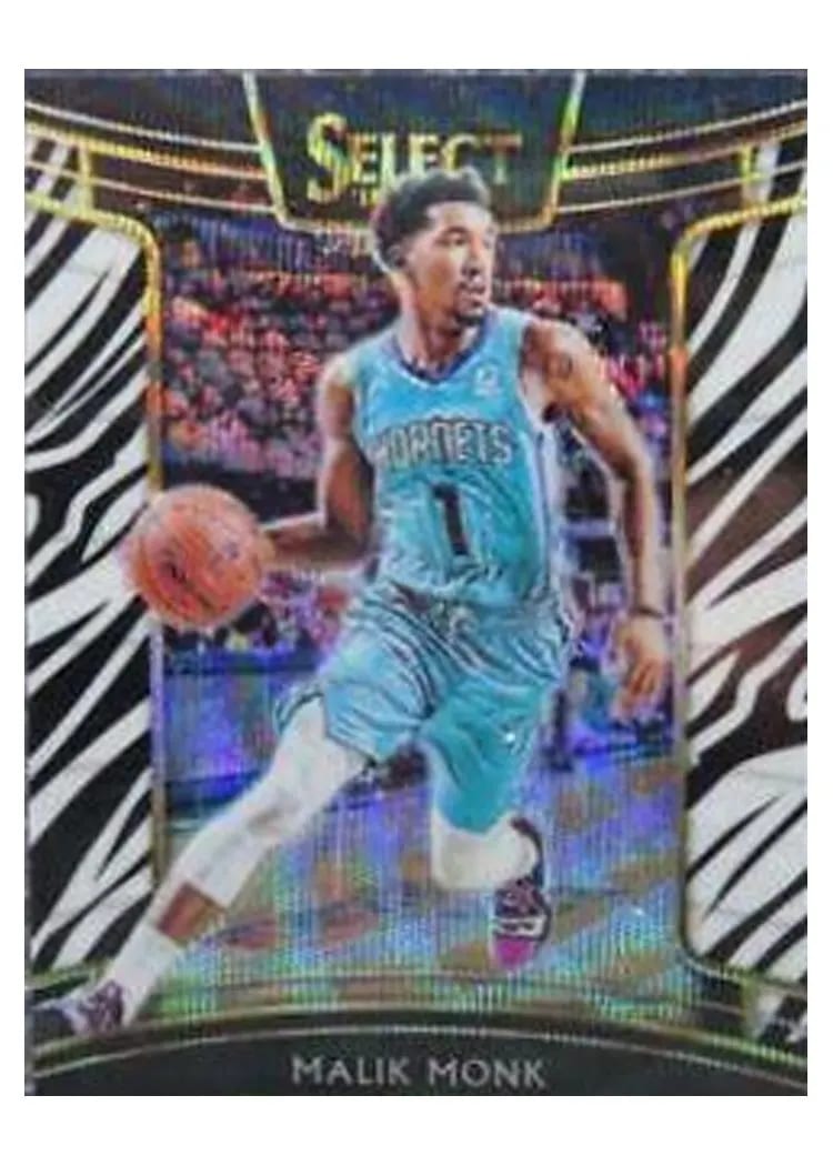 2018 Panini Select Malik Monk #30 card