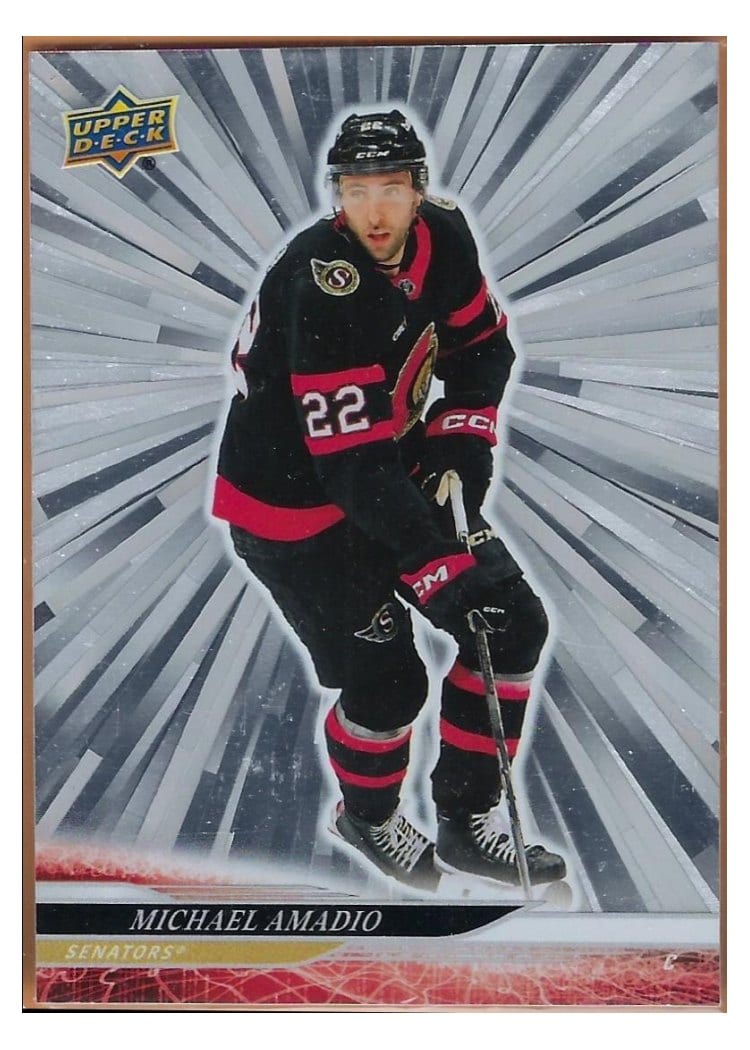 2024-25 Upper Deck Base Set Michael Amadio #594 card