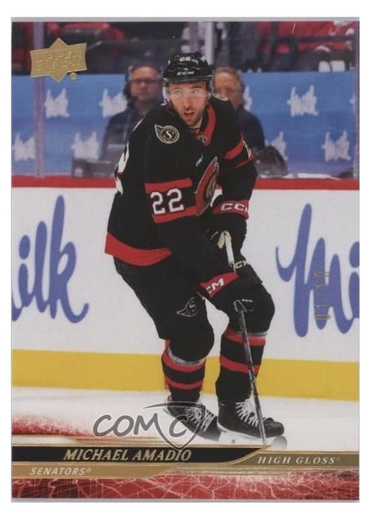 2024-25 Upper Deck Base Set Michael Amadio #594 card