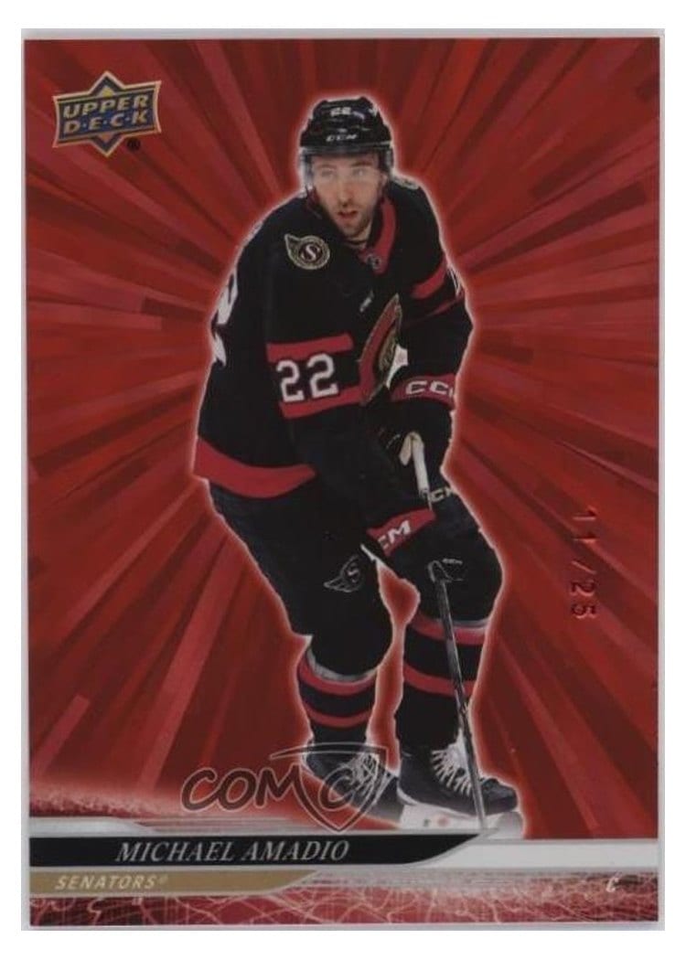 2024-25 Upper Deck Base Set Michael Amadio #594 card