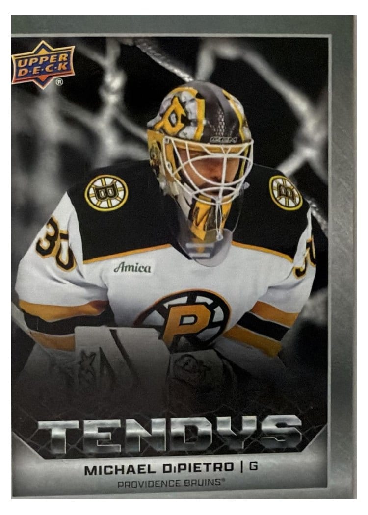 2025-26 Upper Deck AHL Tendys Michael DiPietro #T-9 card