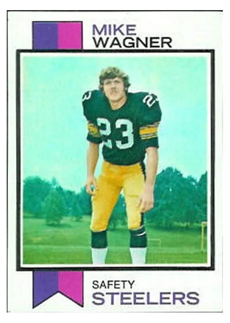 1973 Topps Mike Wagner #246 card