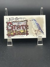2025 Topps Allen & Ginter State Birds (Minis) Mountain Bluebird - Idaho #SB-12 card
