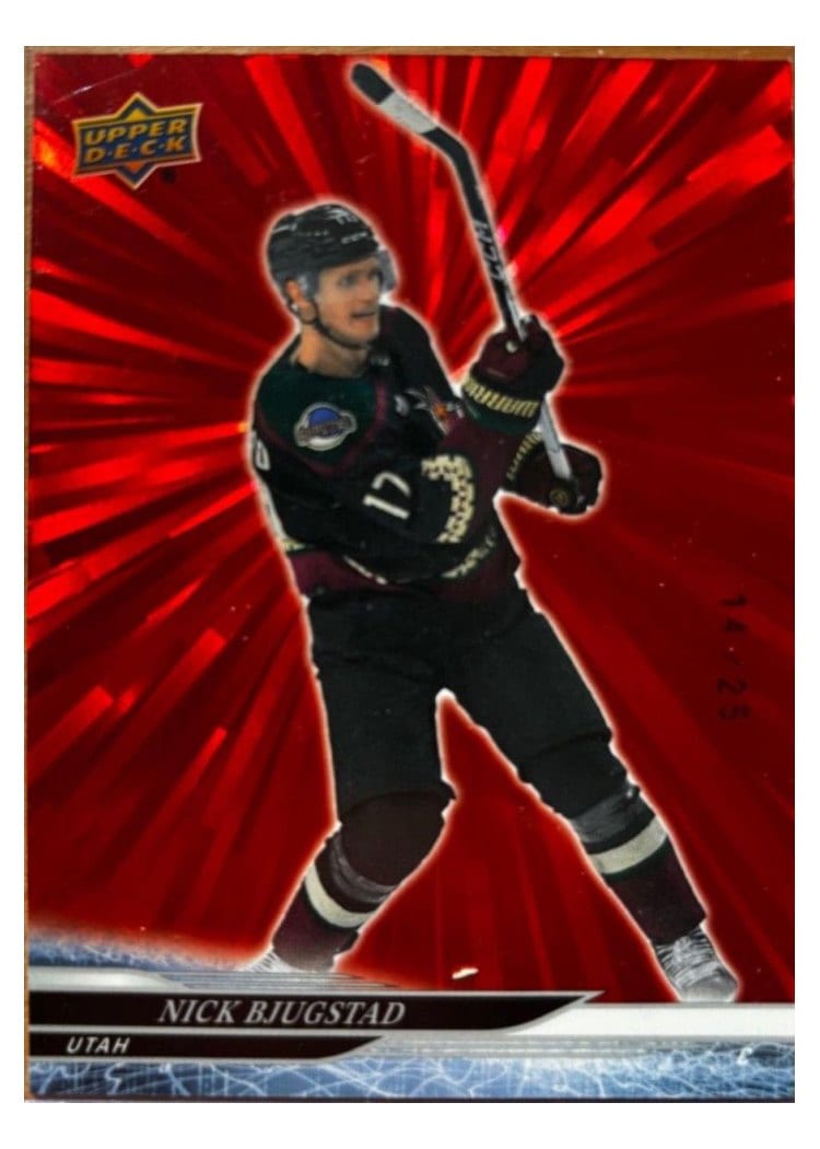 2024-25 Upper Deck Base Set Nick Bjugstad #418 card