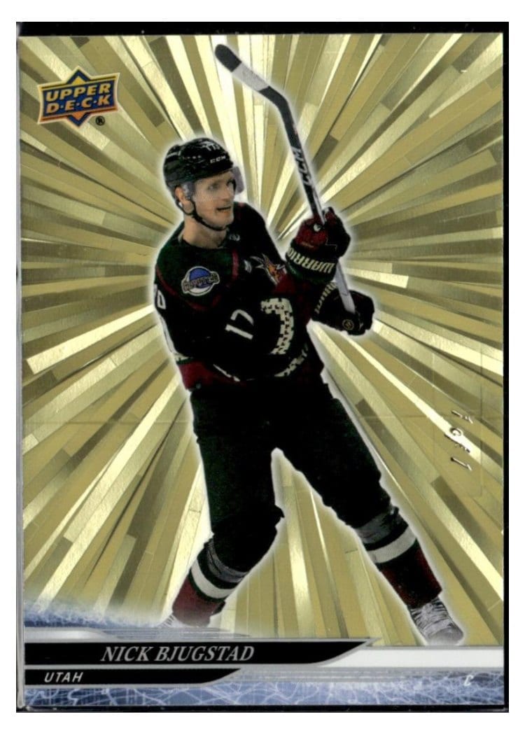 2024-25 Upper Deck Base Set Nick Bjugstad #418 card