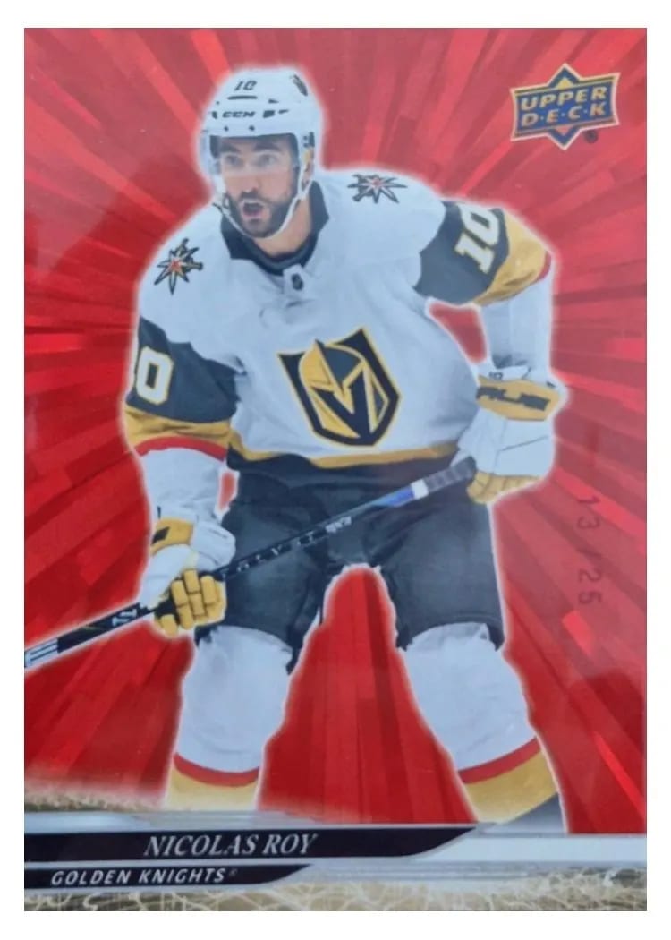 2024-25 Upper Deck Base Set Nicolas Roy #183 card
