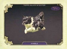 2024 Topps Allen & Ginter Stars Of The Show Nimble #SOS-34 card