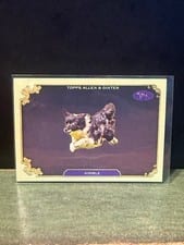 2024 Topps Allen & Ginter Stars of the Show The Westminster Kennel Club Nimble #SOS-34 card