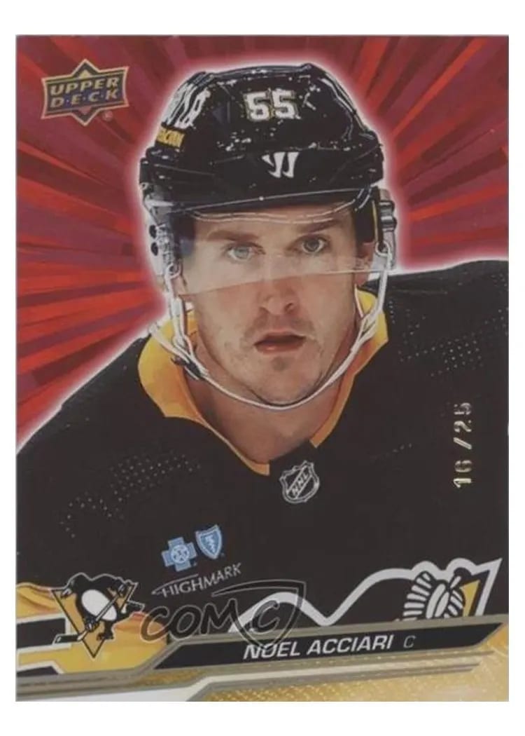 2023-24 Upper Deck Base Set Noel Acciari #607 card