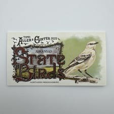 2025 Topps Allen & Ginter State Birds (Minis) Northern Mockingbird - Arkansas #SB-4 card