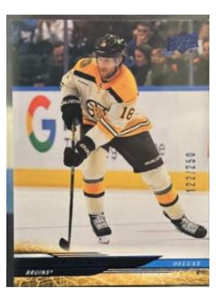 2024-25 Upper Deck Base Set Pavel Zacha #21 card